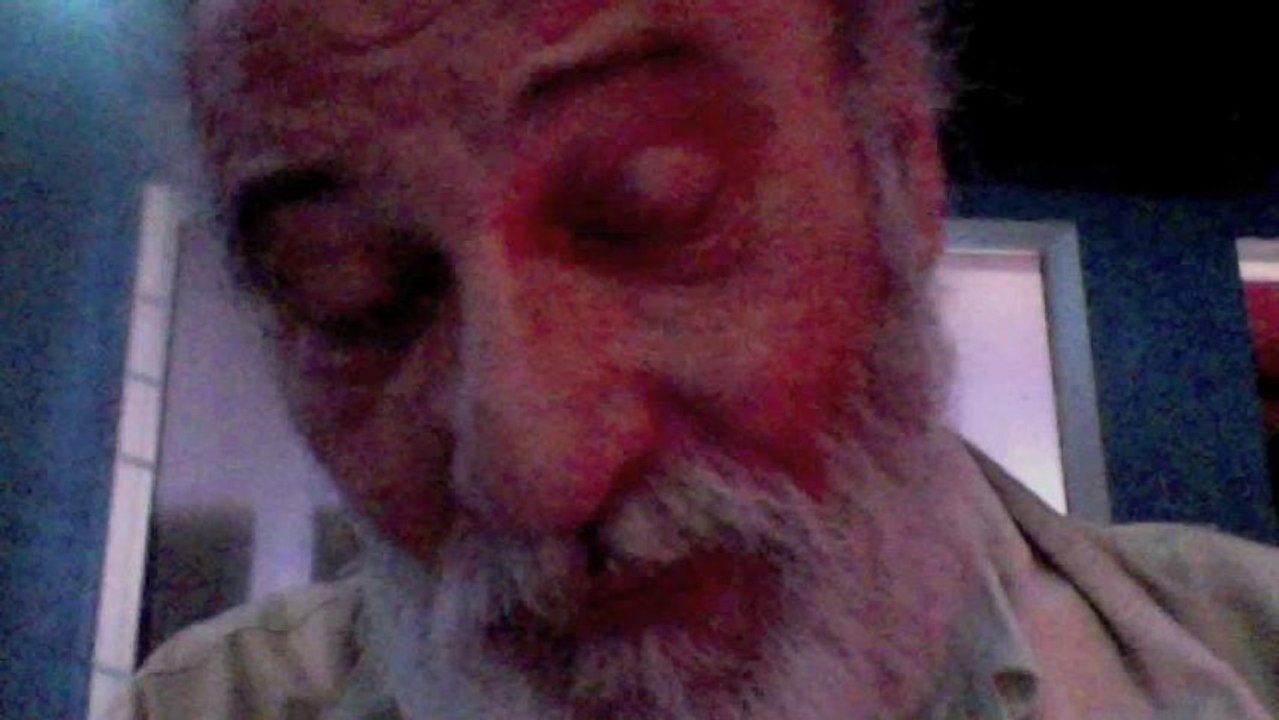 Il Cavaliere La Vendetta Forza Italia