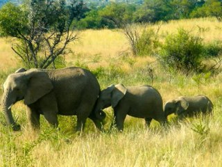 SALMOS CAP 117  - A BIBLIA NA LINGUAGEM DE HOJE