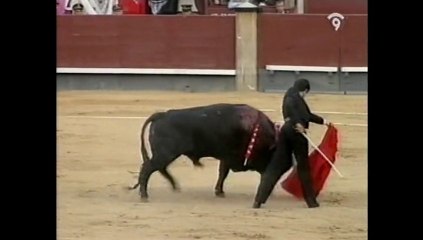 Niño de la Capea dos orejas en el festival de El Soro resumen