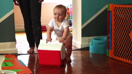 Learning to Walk With a Push Toy