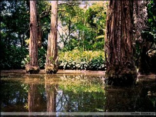 2 CRONICAS CAP 31 - A BÍBLIA NA LINGUAGEM DE HOJE