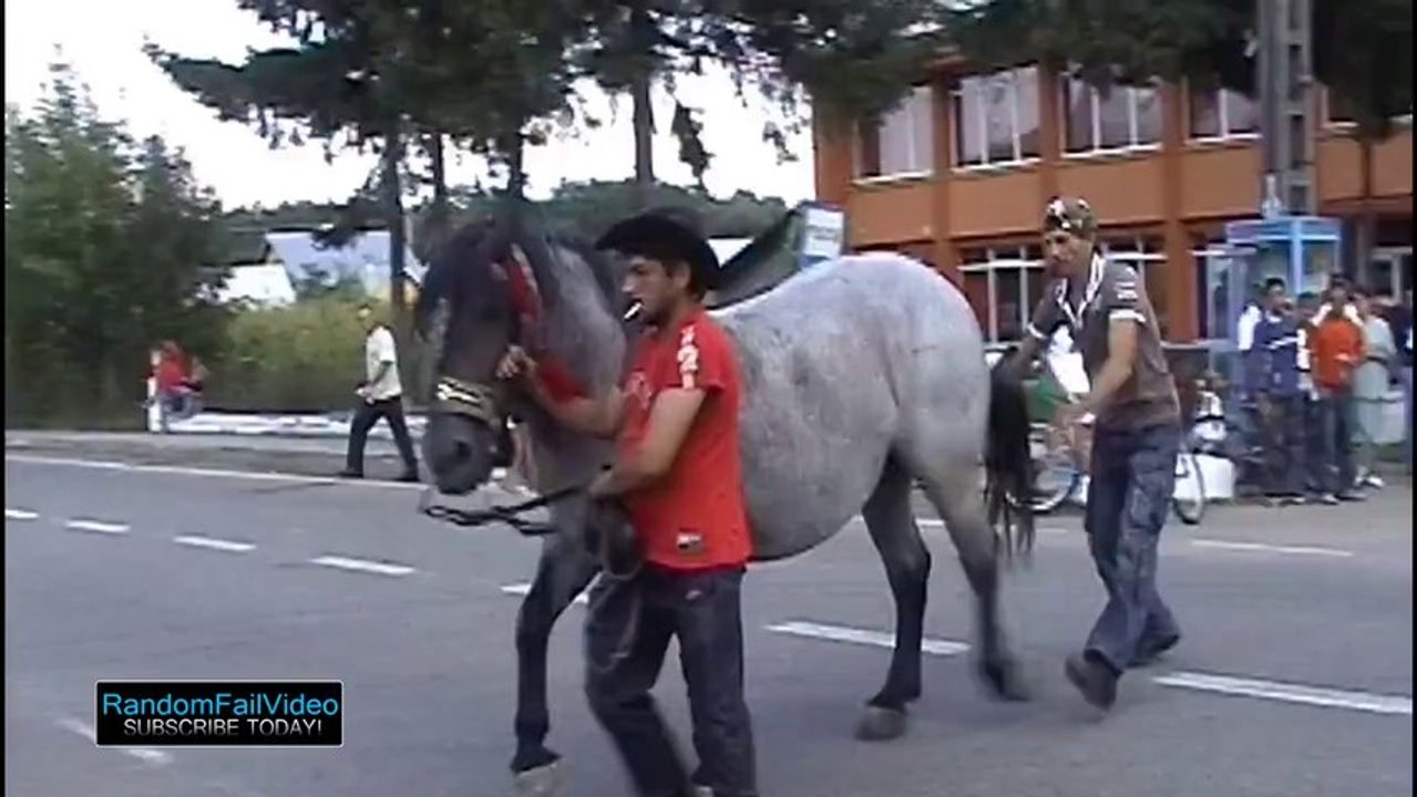 Дерзкая кобылка
