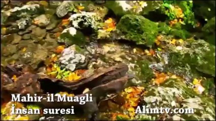 Mahir-il Muagli  İnsan Suresi