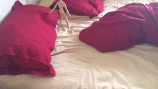 Best Vines : How i make my bed