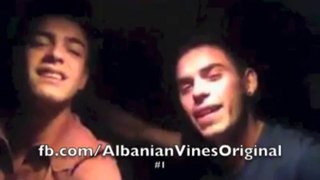 Shkelzen Kicaj & Mc Zuffi  Vines 2013