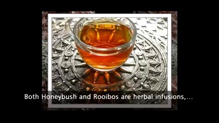 Honeybush and Rooibos - Herbal Tea and Medicine