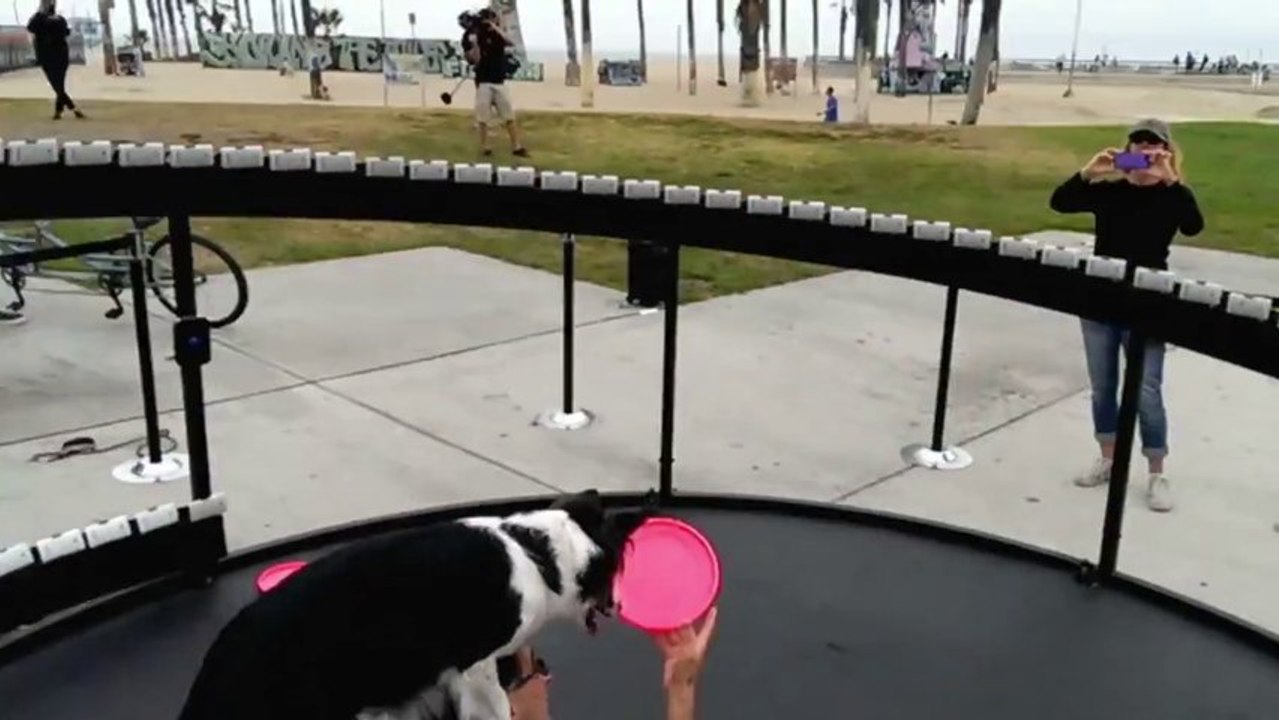 Utiliser 130 téléphones pour réaliser des effets MATRIX! ENORME