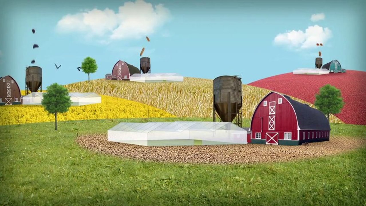 Oui à la biodiversité, non aux OGM!