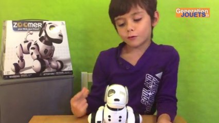 Coup de Coeur de Paul :  Zoomer le chien robot