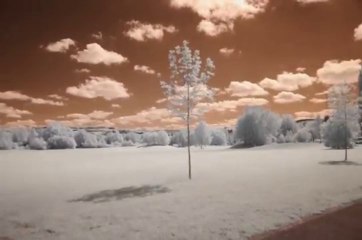 Paysage fllmé en proche infrarouge sous filtre Schott RG665