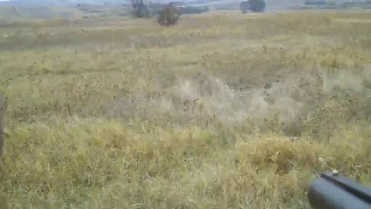 Setter ..KORSAN & LENA