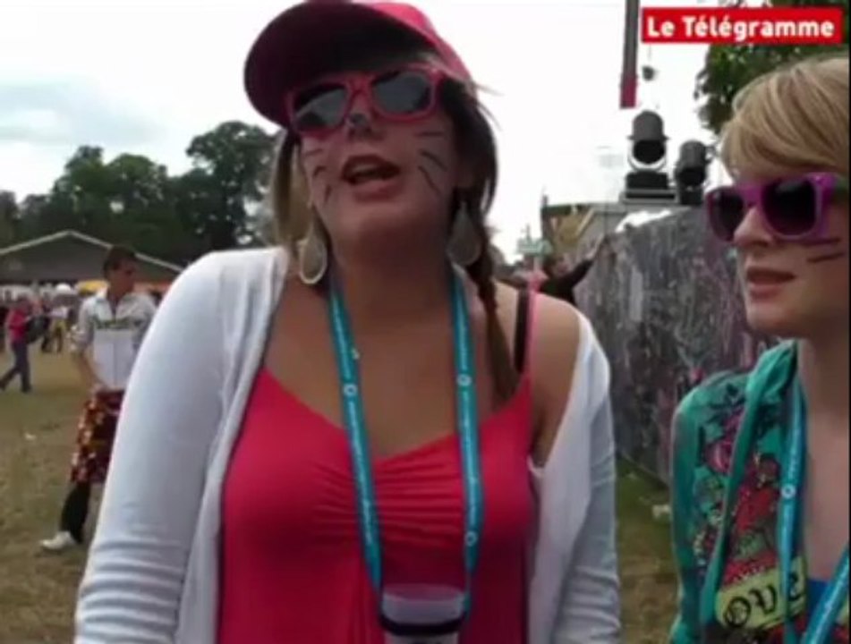 Vieilles Charrues. David Guetta : pour ou contre la venue du célèbre DJ ?