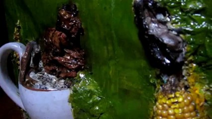 monsieur épi de maïs sans OGM rend visite à madame rose sans pesticide