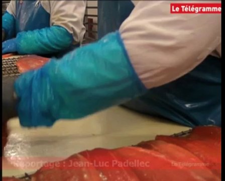 Châteauneuf-du-Faou (29) : des députés kosovars visitent Bretagne Saumon