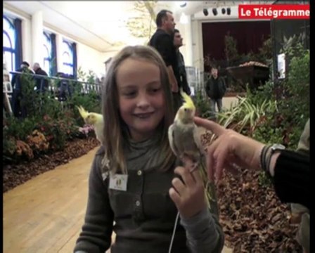 Paimpol. Les oiseaux du club du Trieux prennent possession de la salle des fêtes