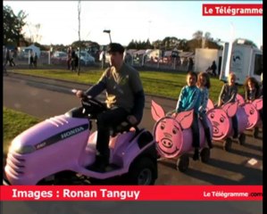 Morlaix. 10.000 visiteurs au festival de l'agriculture