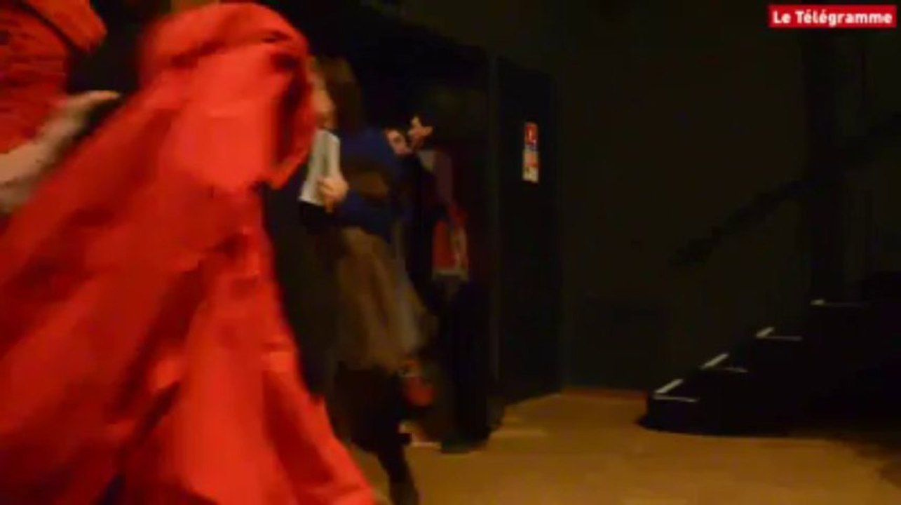 Briec (29). Entrée en force d'opposants au projet de centrale à gaz