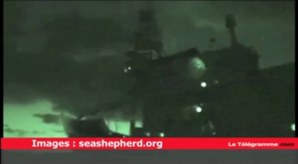 Chasse à la baleine. Trois Australiens montent à bord d'un bateau nippon