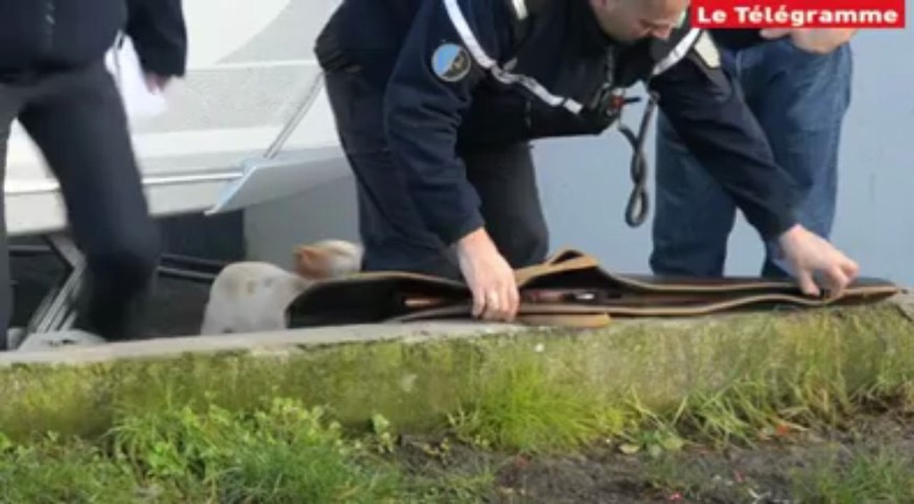 Lorient. Perquisition dans le camp de gens du voyage