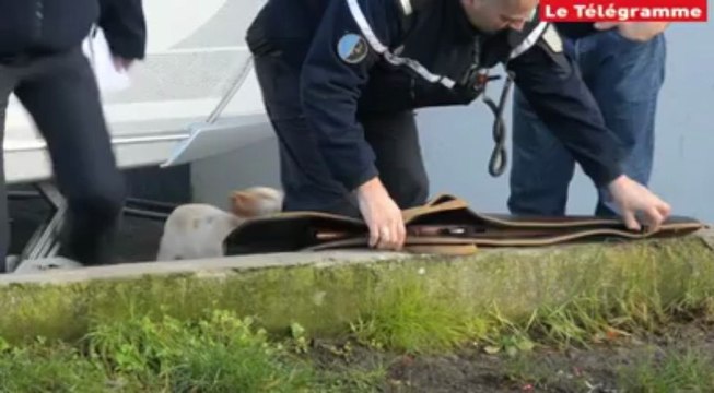 Lorient. Perquisition dans le camp de gens du voyage