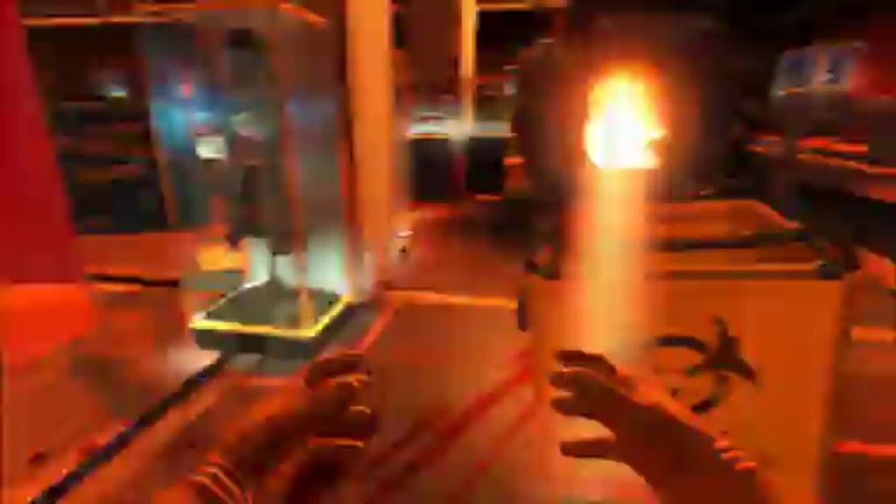 Un test rapide de Viscera Cleanup Detail Shadow Warrior