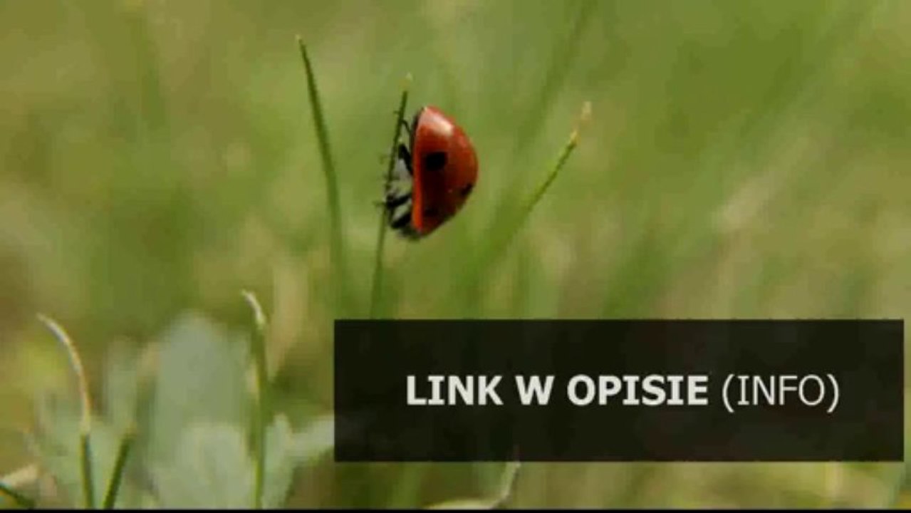 doda obrazki