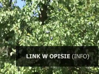 kody do xiii na niesmiertelnosc