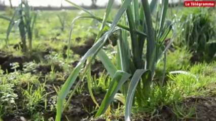 Concarneau. Quartier de Lochrist : un maraîcher bio pédagogue