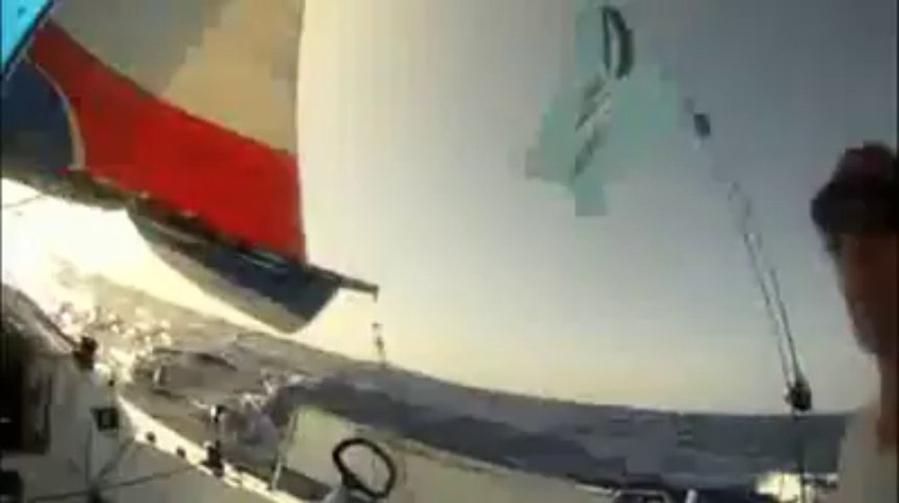 Transquadra. Quand une "Baleine Blanche" tape une baleine bleue...