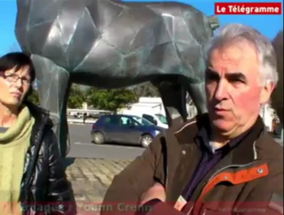 Centrale au gaz. Des opposants au projet réagissent