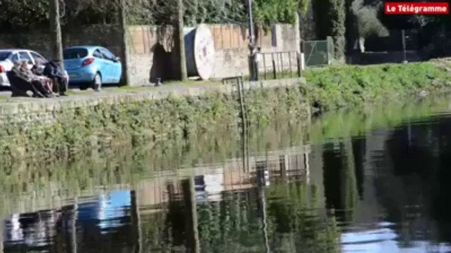 Quimperlé. Un resto flottant bientôt sur la Laïta
