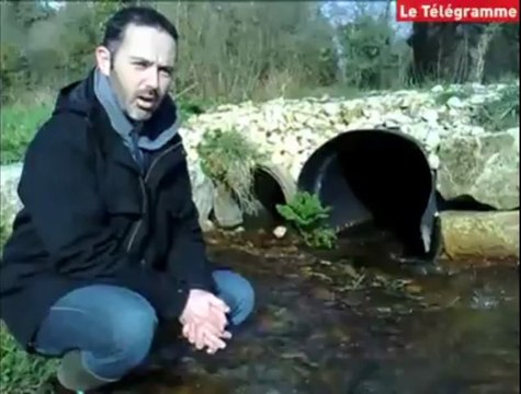Morbihan. Comment permettre aux truites de recoloniser les rivières ?