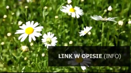 jak zainstalowac spolszczenie joomla 1.7