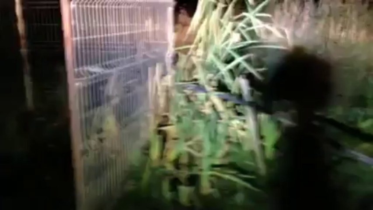 ROMANIA - Apa care ARDE, find contaminata cu gaze de sist