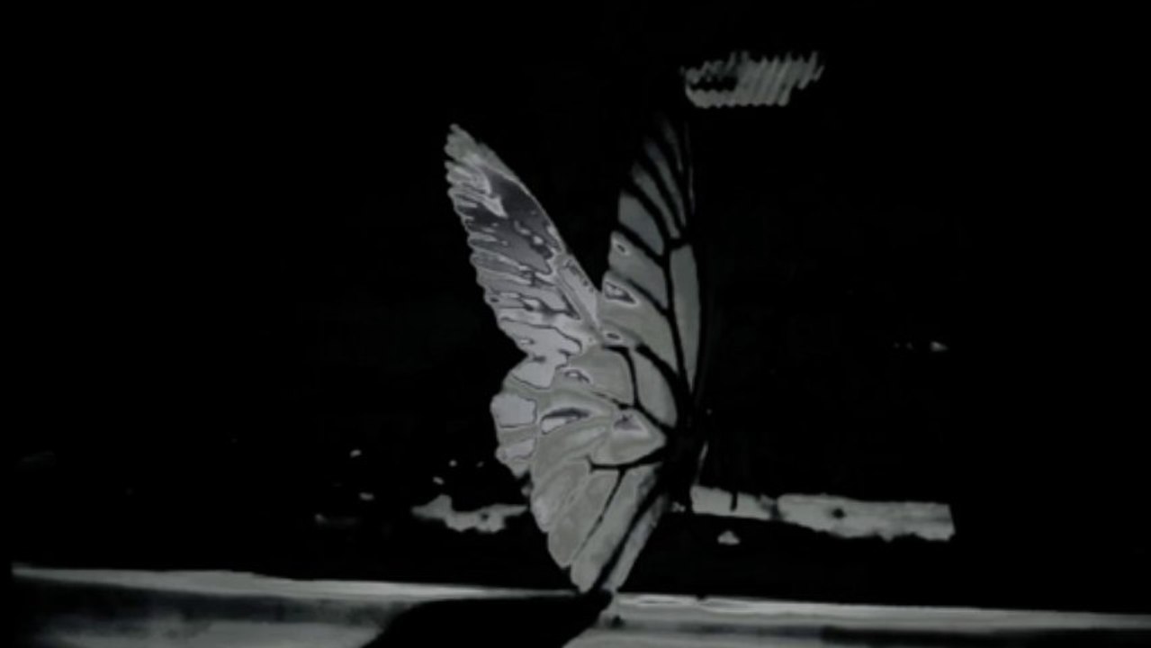 RUSSIAN POP - Novel (long)