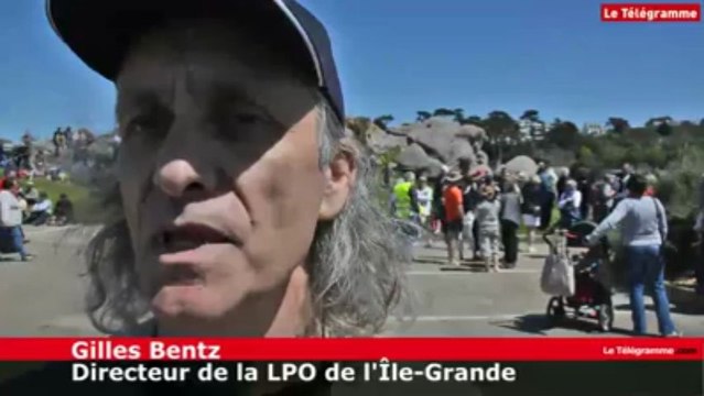 Cent ans de la LPO. Les oiseaux, mieux ou moins bien protégés qu'il y a un siècle ?