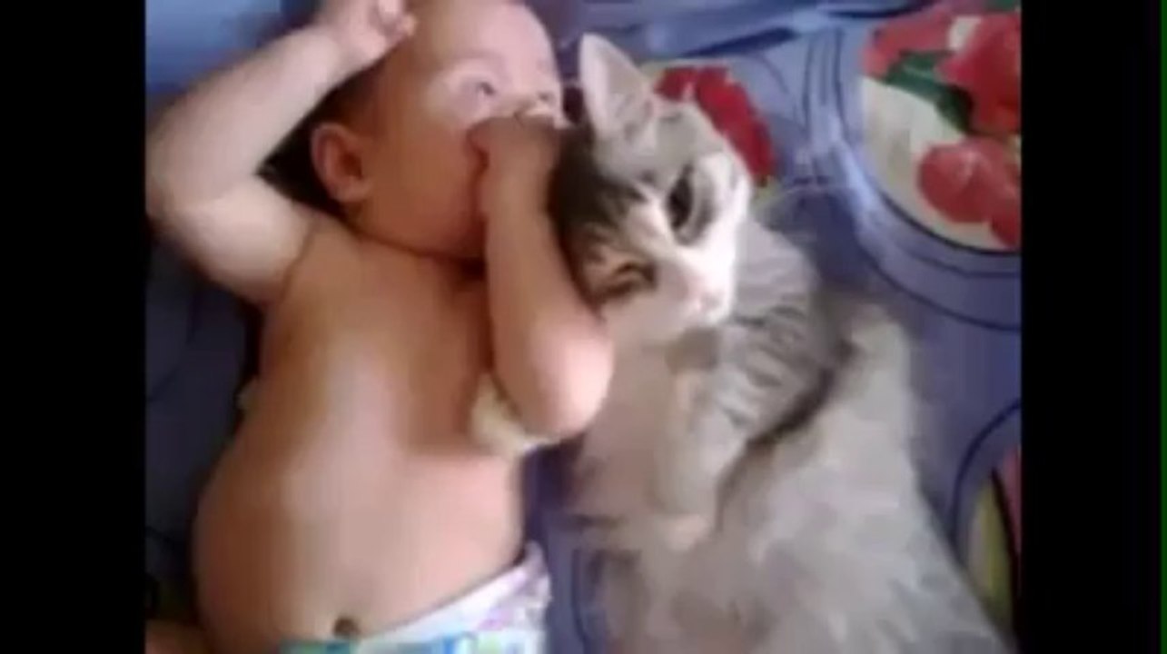Cat and Baby Love Each Other