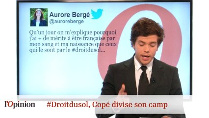 #tweetclash : #Droitdusol, Copé divise son camp