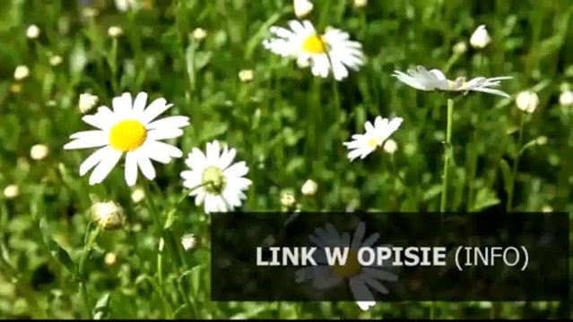 klucz do rajd polski rally poland