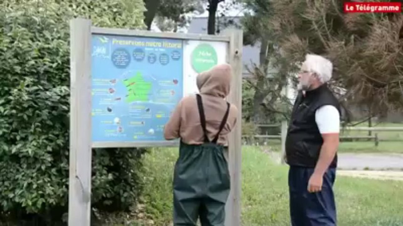 Pêche à pied. "Les particuliers, oui, si c'est pour la conso personnelle"