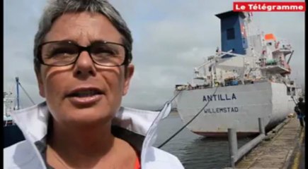 Douarnenez (29). Le Rosmeur décroche un gros marché de débarque de thon