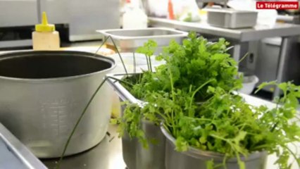 Bénodet (29). Ex-cuisinière de Mitterrand, elle a inspiré un film