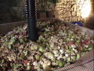 Fête de la pomme à l'abbaye de Beauport