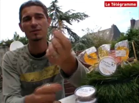 Lorient. Les insectes, nourriture d'avenir ?