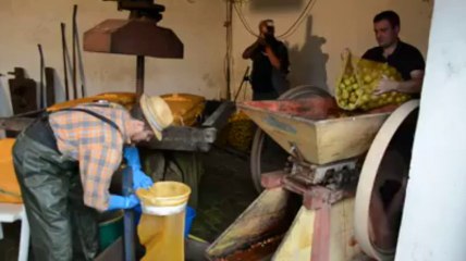 Mellac. Pressage de la pomme