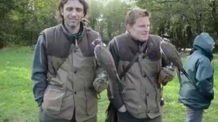 Spectacle de fauconnerie à Auray