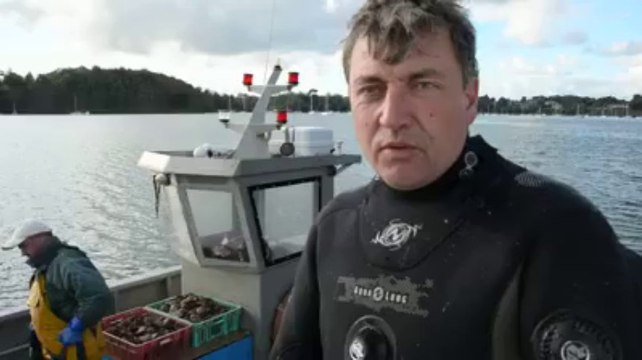 Dinan. Coquilles Saint-Jacques : comment la pêcher sans draguer