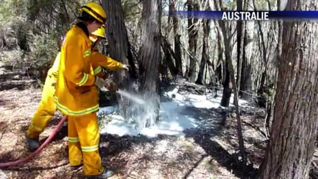 AFP - Le JT, 2e édition du mercredi 23 octobre