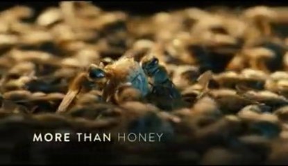 des abeilles et des hommes (1)