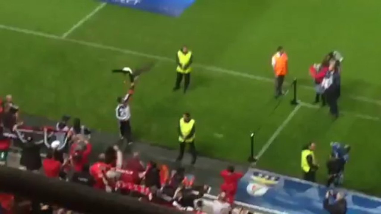 Ο αετός της Μπενφίκα
